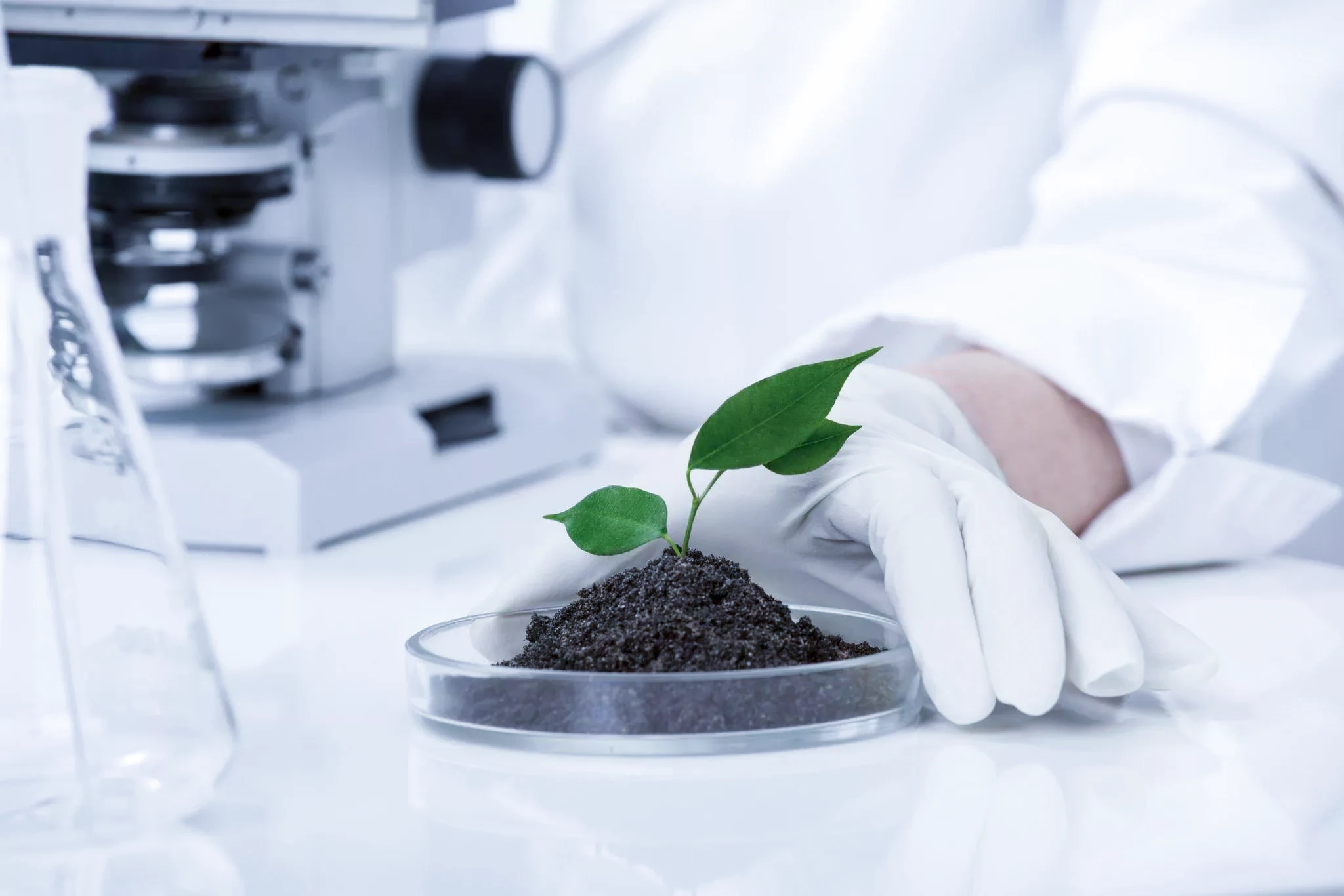 Soil-Analysis
